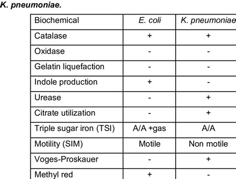 biochemical test for e.coli|biochemical test for shigella.